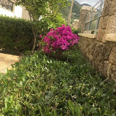 The Little Luxury Ipsos